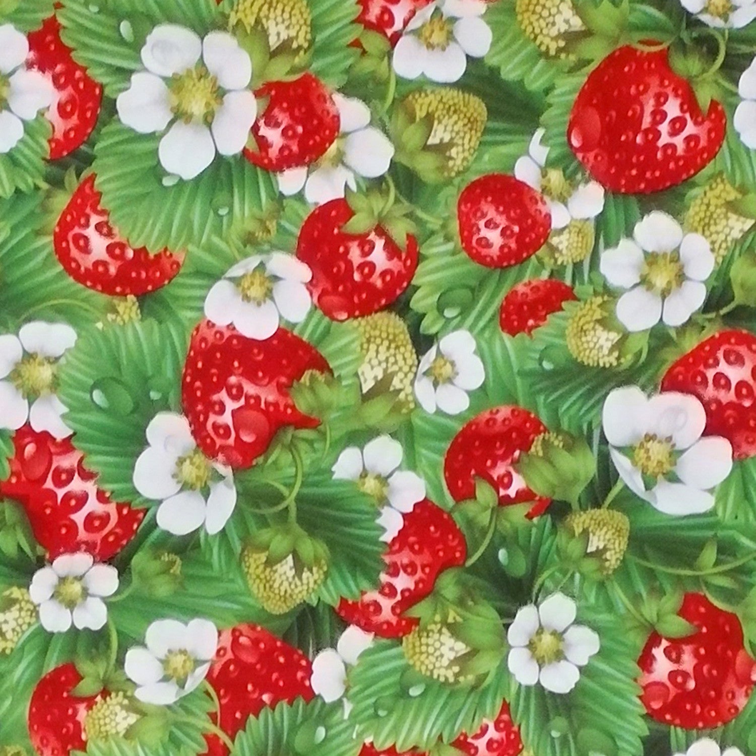 Tovaglia cerata antimacchia in PVC - Fior di Fragola